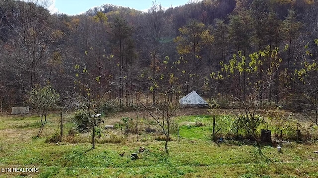 1693 Steve Brown Rd, Bean Station, TN 37708 - photo 12