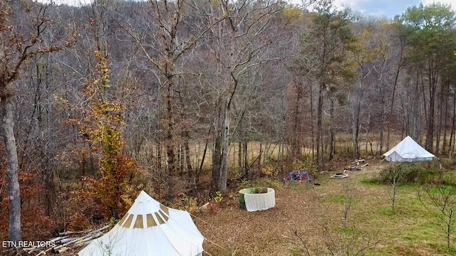 1693 Steve Brown Rd, Bean Station, TN 37708 - photo 27
