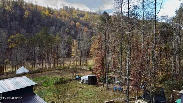 1693 Steve Brown Rd, Bean Station, TN 37708 - photo 13