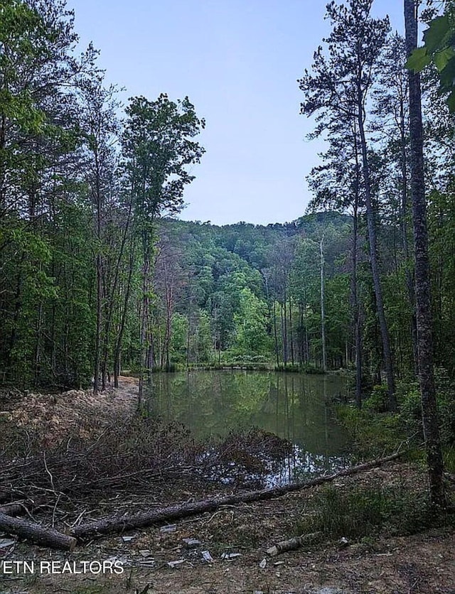 1693 Steve Brown Rd, Bean Station, TN 37708 - photo 17