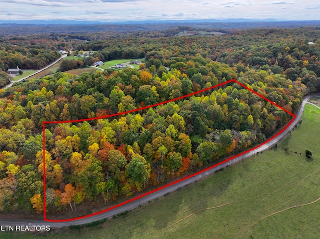 Listing photo 2 for TRACT2 County Rd 279, Niota TN 37826