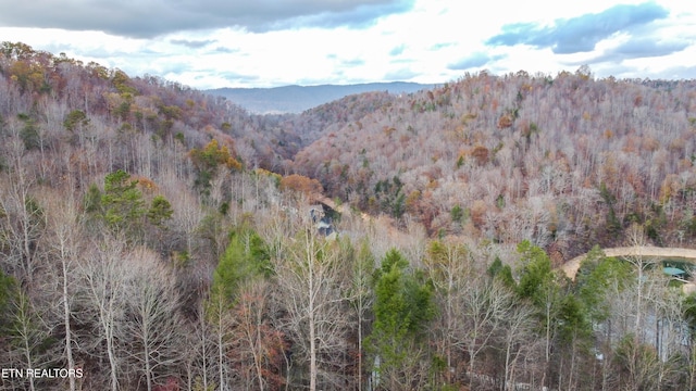 view of mountain feature featuring a view of trees