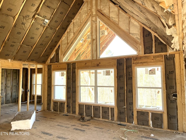 attic featuring plenty of natural light