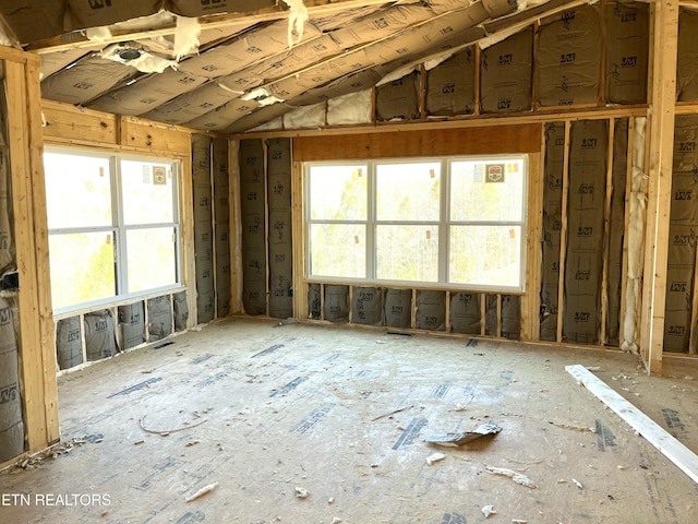 miscellaneous room featuring vaulted ceiling