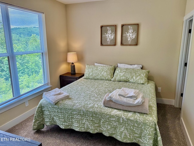 139 Pool Rd, Lafollette, TN 37766 - bedroom featuring carpet flooring