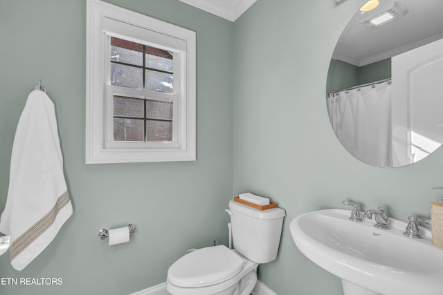 bathroom featuring toilet, crown molding, and sink