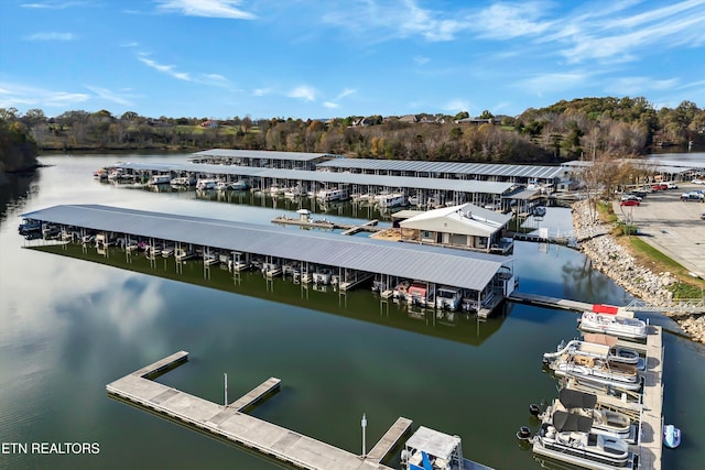 dock area featuring a water view