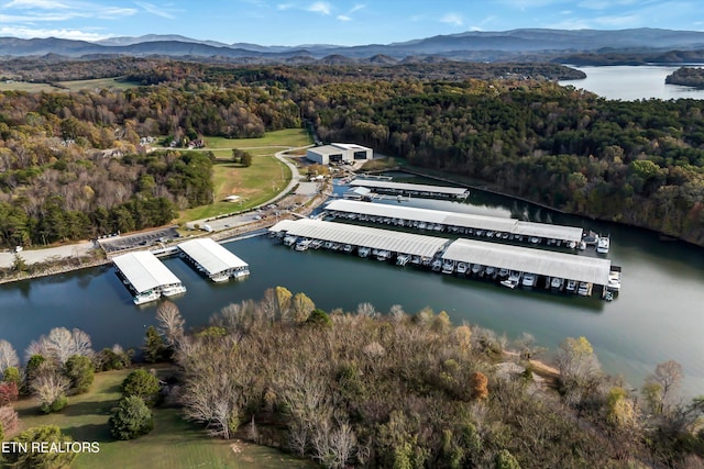 aerial view with a water and mountain view