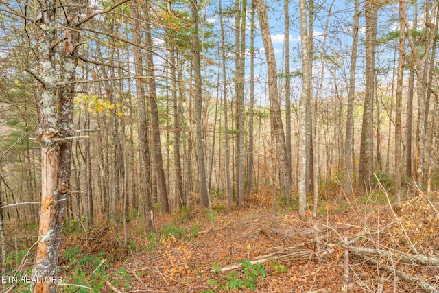 Listing photo 2 for LOT2 Balfour Dr, Harriman TN 37748