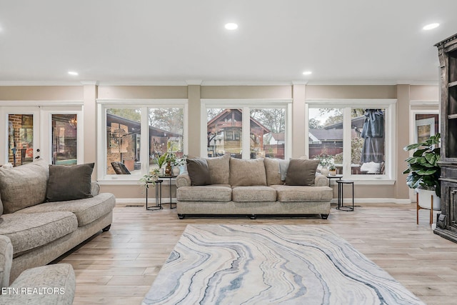 living room featuring light hardwood / wood-style floors, a healthy amount of sunlight, and crown molding