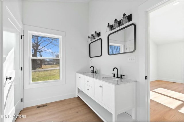 bathroom with hardwood / wood-style flooring and vanity