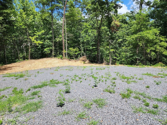 000 Tiger Lilly Dr, Cosby, TN 37722