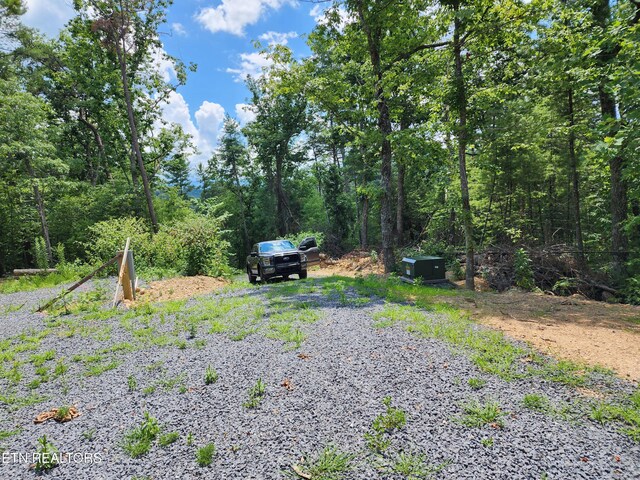 000 Tiger Lilly Dr, Cosby, TN 37722