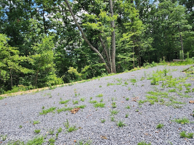000 Tiger Lilly Dr, Cosby, TN 37722