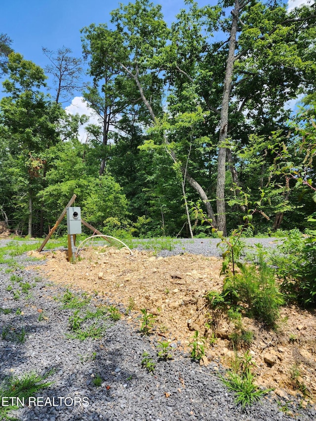 000 Tiger Lilly Dr, Cosby, TN 37722