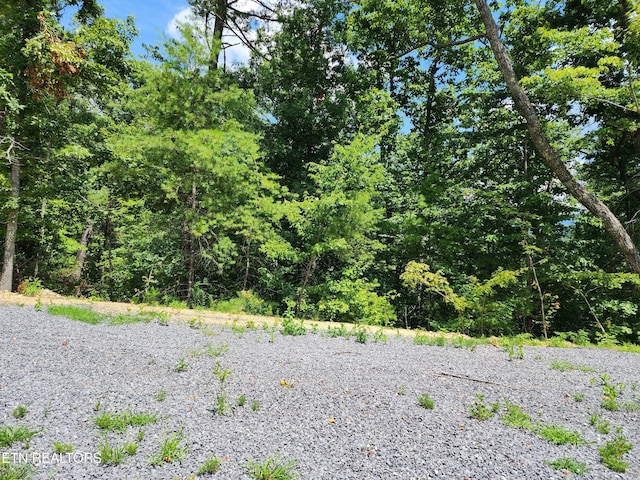 000 Tiger Lilly Dr, Cosby, TN 37722