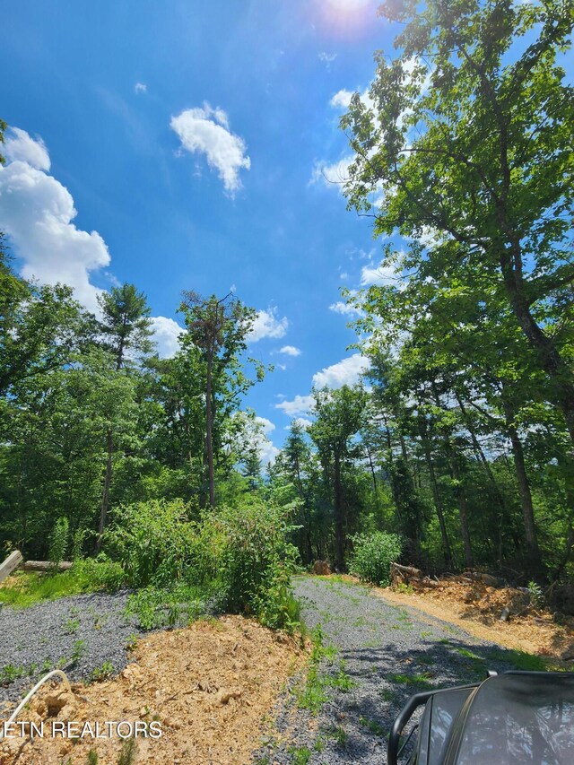 000 Tiger Lilly Dr, Cosby, TN 37722