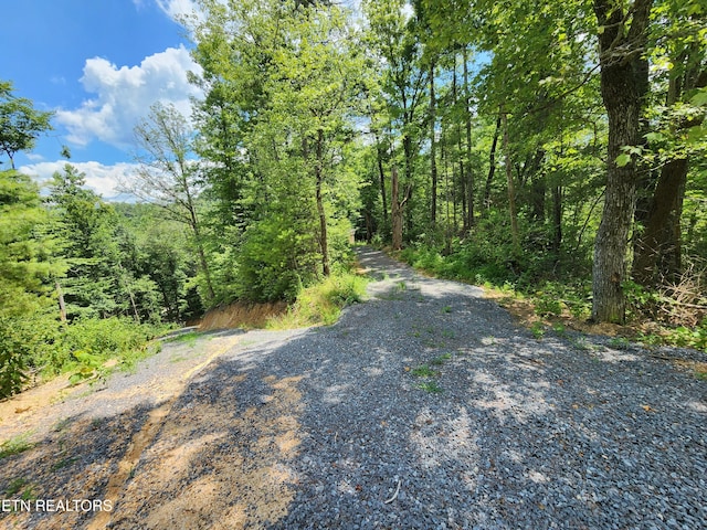000 Tiger Lilly Dr, Cosby, TN 37722