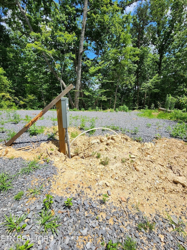 000 Tiger Lilly Dr, Cosby, TN 37722
