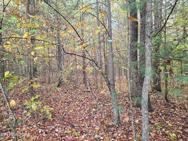 LOT1 W Robbins Rd, Robbins TN, 37852 land for sale