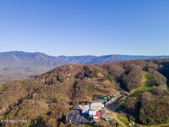 1260 Ski View Dr, Gatlinburg, TN 37738 - photo 20
