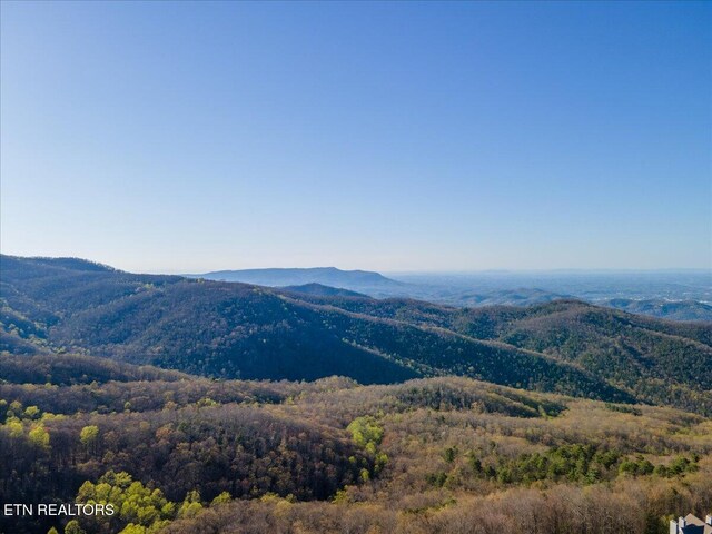1260 Ski View Dr, Gatlinburg, TN 37738 - photo 21