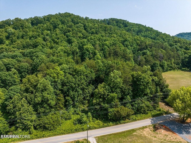 Listing photo 3 for Beard Valley Rd, Maynardville TN 37807