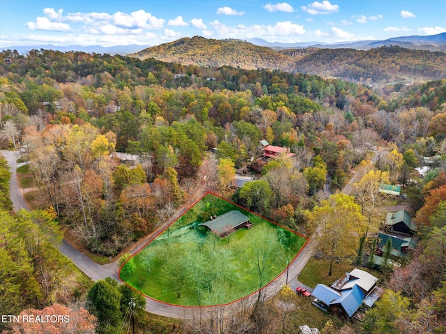 birds eye view of property with a mountain view