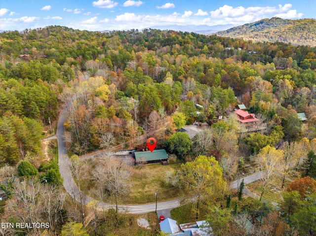 drone / aerial view featuring a mountain view