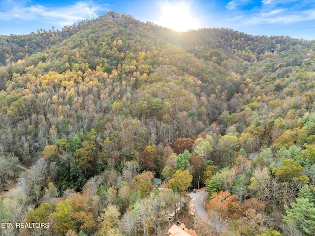 property view of mountains