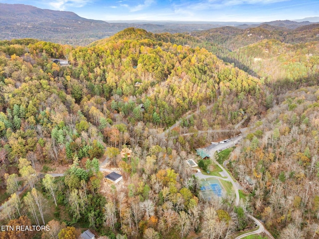 drone / aerial view with a mountain view