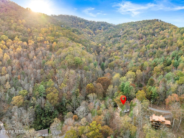 view of mountain feature