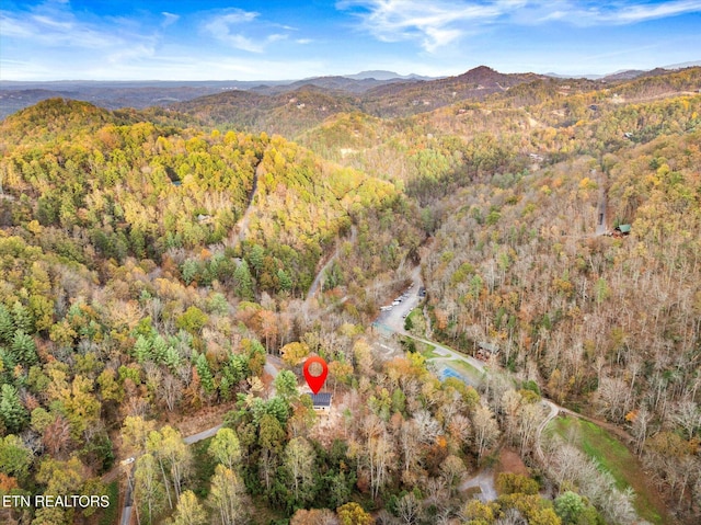 drone / aerial view with a mountain view