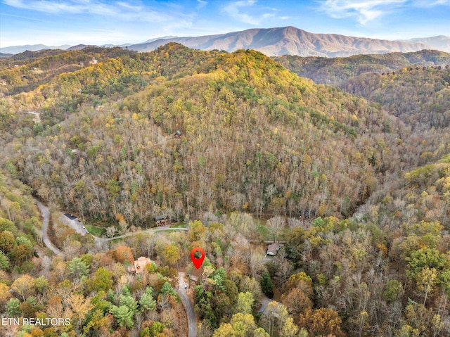 view of mountain feature