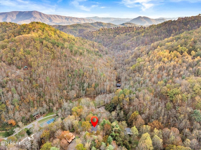 property view of mountains