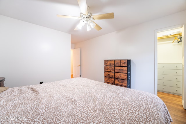 bedroom featuring a closet, a spacious closet, ceiling fan, and light hardwood / wood-style flooring