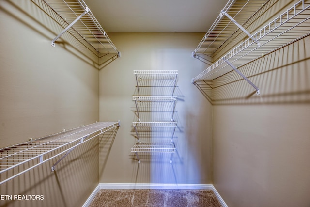 2011 Breakers Pt, Knoxville, TN 37922 - walk in closet with carpet