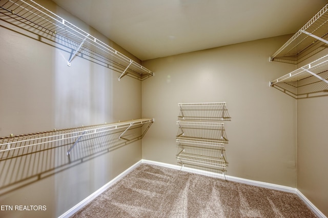 2011 Breakers Pt, Knoxville, TN 37922 - spacious closet with carpet floors