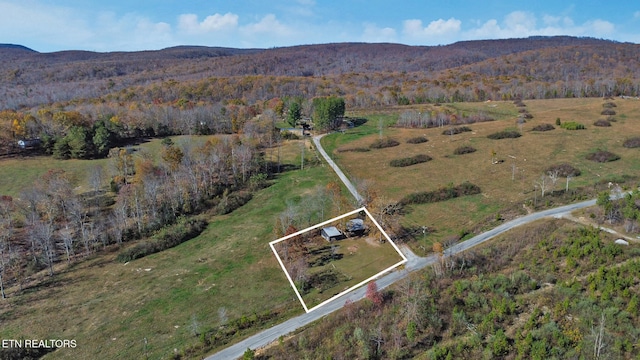 bird's eye view with a mountain view