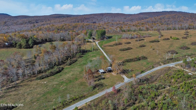 birds eye view of property featuring a mountain view