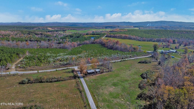 drone / aerial view featuring a mountain view