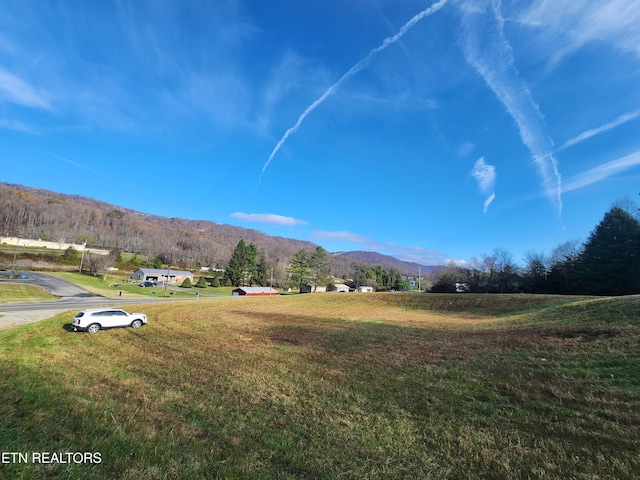 Dr Thomas Walker Rd, Rose Hill, VA 24281 - photo 1