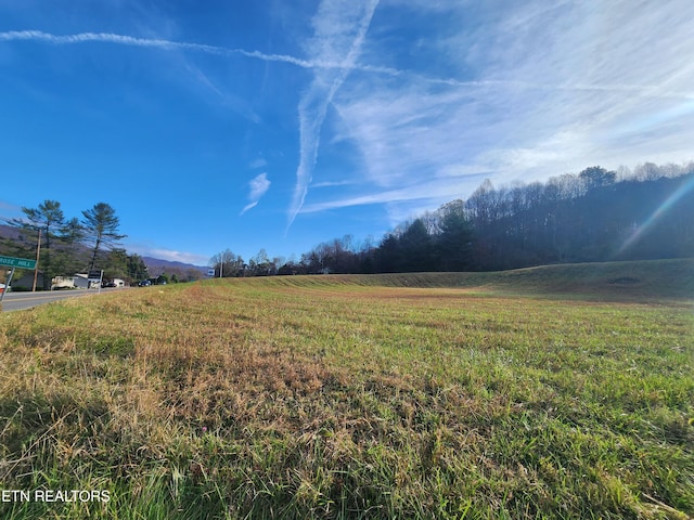 Dr Thomas Walker Rd, Rose Hill, VA 24281 - photo 2