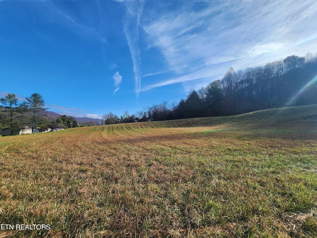 Dr Thomas Walker Rd, Rose Hill, VA 24281 - photo 3