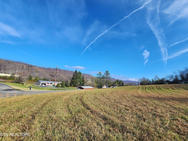 Dr Thomas Walker Rd, Rose Hill, VA 24281 - photo 4