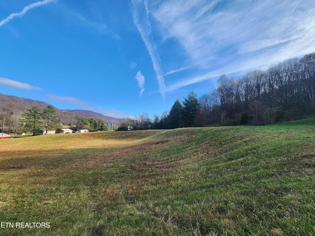 Dr Thomas Walker Rd, Rose Hill, VA 24281 - photo 7