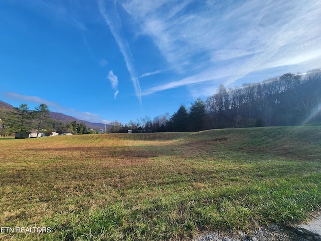 Dr Thomas Walker Rd, Rose Hill, VA 24281 - photo 8
