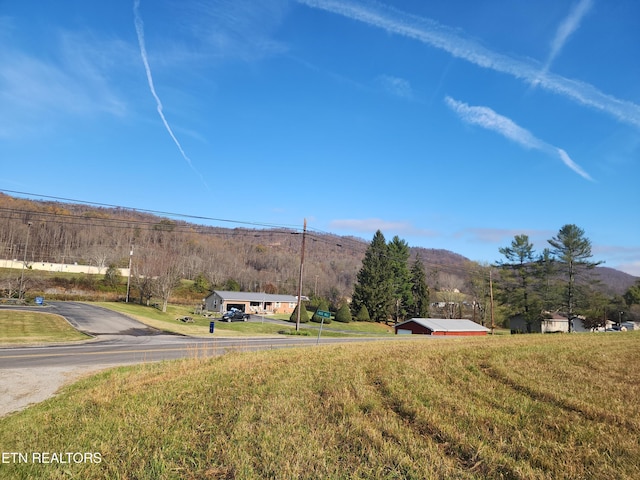 Dr Thomas Walker Rd, Rose Hill, VA 24281 - photo 6