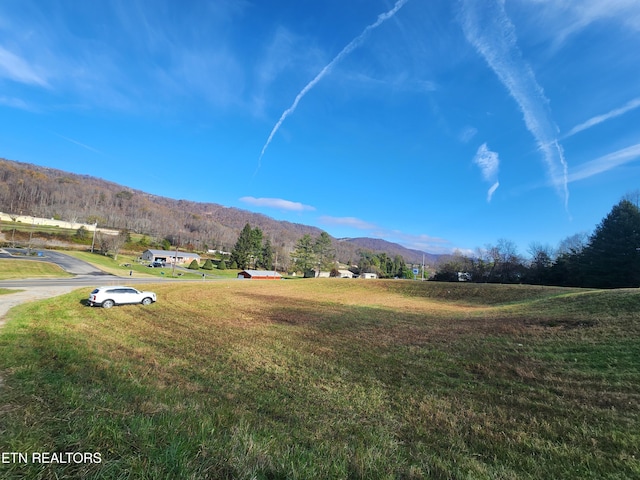 Dr Thomas Walker Rd, Rose Hill, VA 24281 - photo 9