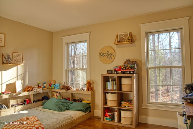 bedroom featuring multiple windows and wood-type flooring